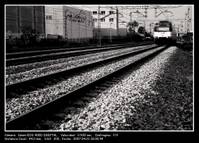 tren_b_n.jpg
