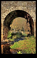 tunel_Large_.jpg
