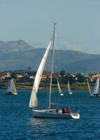 velero.jpg