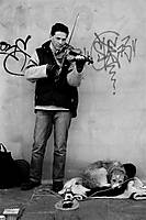 violinista.jpg
