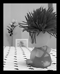 vivianas_05_g27.JPG