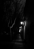 vivianas_10_g17.JPG