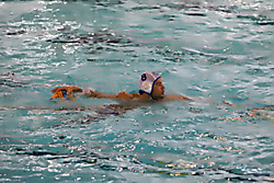 waterpolo55.jpg