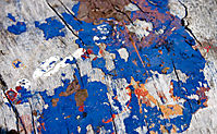 web_jazz_color_0777.jpg