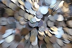 zoom5.jpg