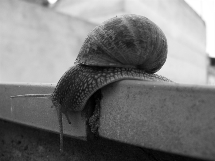 Mi modelo mas paciente :)