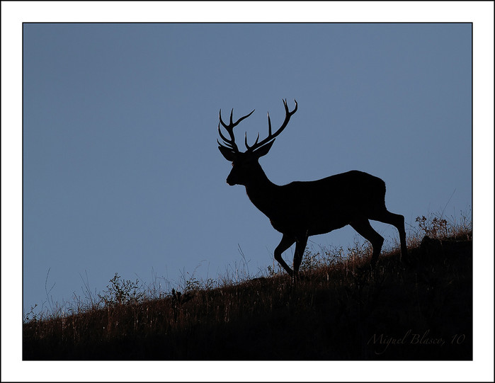 5009265873_3c2b120dd5_b