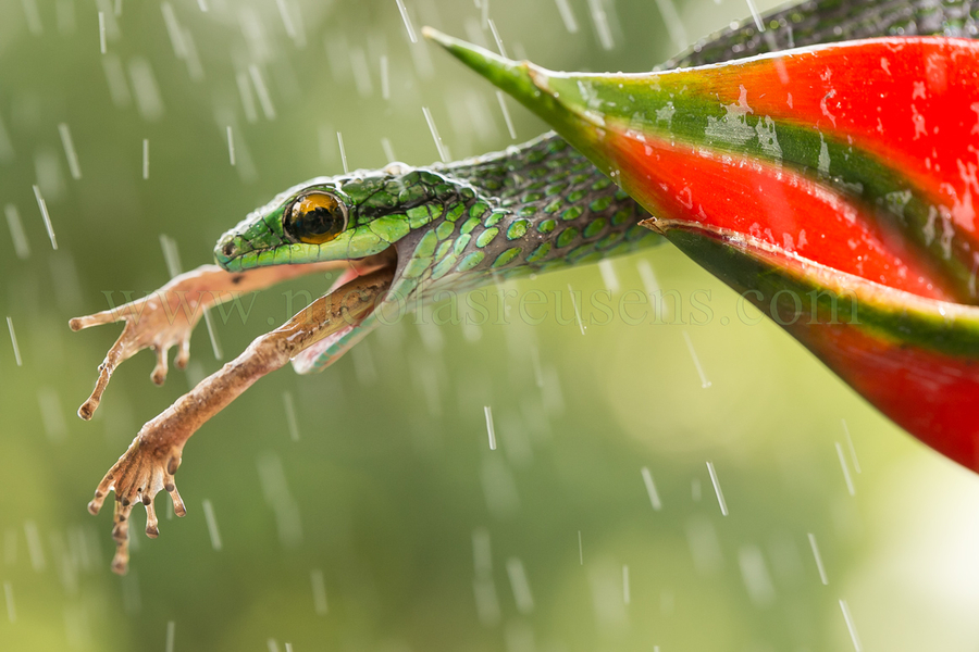 La muerte llega bajo la lluvia..