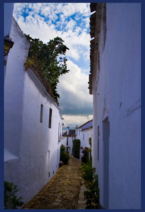 BONITA CALLE