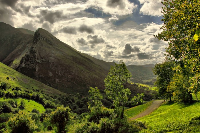 Paisaje Asturiano