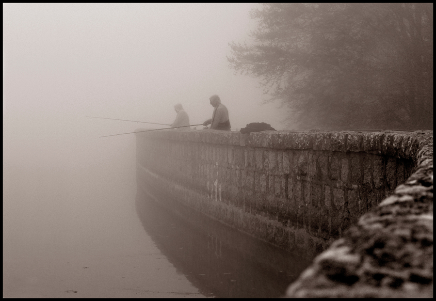 En la niebla