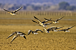 02022012-Do_ana-512-Editar.jpg