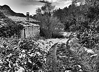 11011039_40_41_copia_copia.jpg