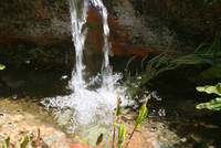 110307_26_Potable.jpg