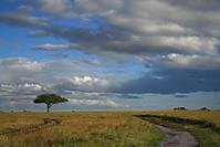 20090605_235_800x600_.JPG