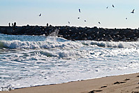 23012011-IMG_0564.jpg