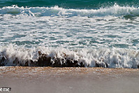 23012011-IMG_0734.jpg
