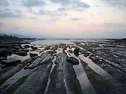 2454.jpg