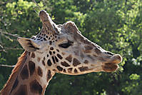 2580499381_8a41e47834_2_.jpg