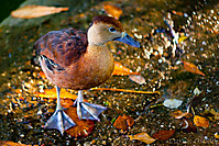5124176036_445f0804e1.jpg