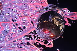 A594157C-AC63-46D7-A855-EA385C892670_1_105_c.jpeg