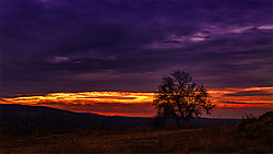 ATARDECER_EN_CABRA.jpg