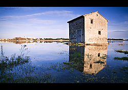 Albufera_06.jpg