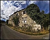 Bosque Devorando Casa Bosque_Devorando_Casa.jpg