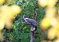 Copia_de_IMG_6328_copy.jpg