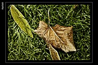Cosbuntu_03_g16.jpg
