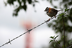 DPP_00572.JPG