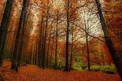 DPP_0204_Copiar_3.jpg