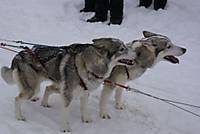 DSC01706.JPG