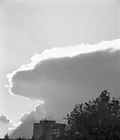DSCI0057_Large_.JPG
