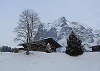 DSCN0966_956x678.jpg