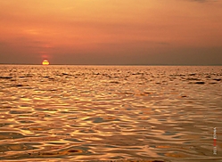 El_Ocaso_.jpg