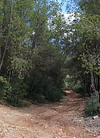 El_camino1.JPG