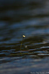 FAPT_2014_007_enlodePablo_IMG_8697.jpg