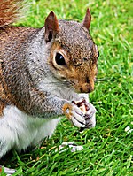 IMG_0023e.jpg