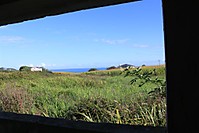 IMG_0073_Large_1.JPG