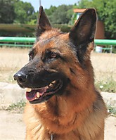 IMG_0140_Large_1.JPG