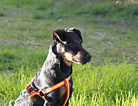 IMG_0142_Large_2.JPG