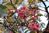 IMG_01643.jpg