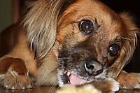IMG_01654.jpg