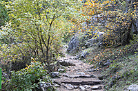 IMG_02034.jpg