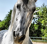IMG_0266_fhdr_Large_.jpg