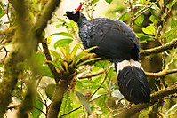 IMG_03104.jpg