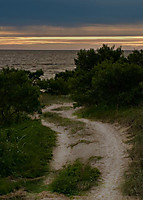 IMG_03291.jpg