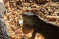 IMG_0380300.jpg