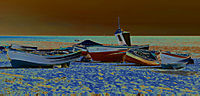 IMG_0395web.jpg